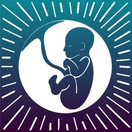Breech without Borders logo
